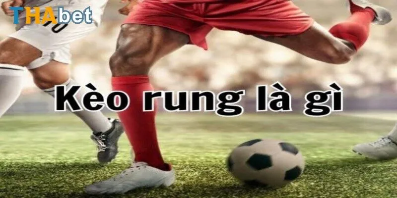 Các thông tin về kèo rung là gì trước khi chọn lựa