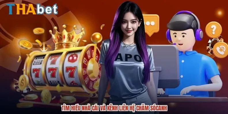 Tìm hiểu kênh liên hệ Thabet hỗ trợ 24/7