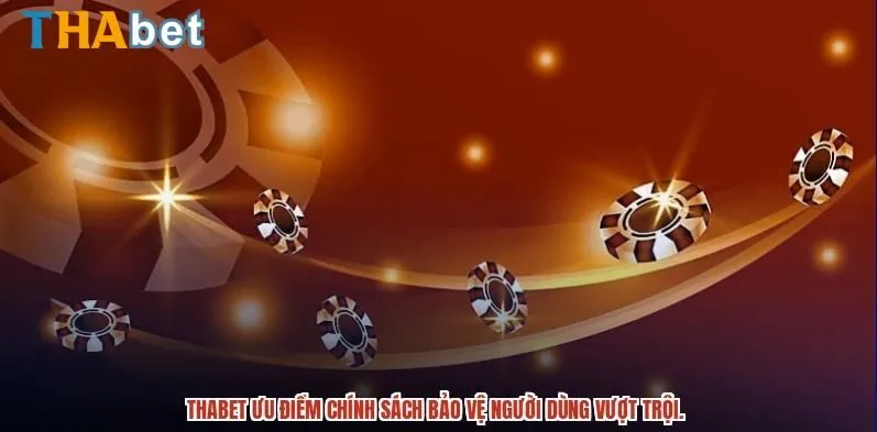 Giới hạn pháp lý và bảo về người dùng