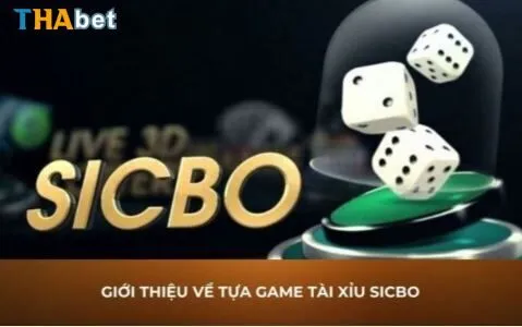 Tính xác suất trong Sicbo Thabet chuẩn xác