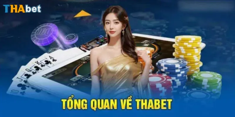 Thabet | Cam kết uy tín và tính pháp lý